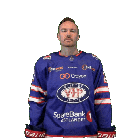 Goal Yes Sticker by VIF Hockey