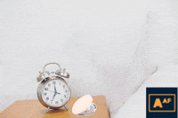 Backoff GIF by Abortion Access Front