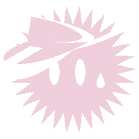 STEIBISONNE sommer sonne winterthur visor Sticker