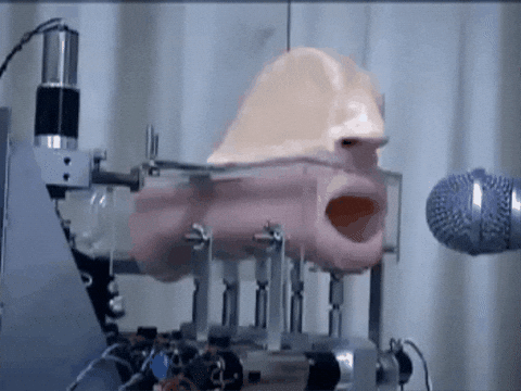 margaretgunning giphygifmaker GIF