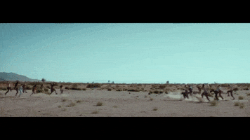 rcarecordsuk dancing cool pink nature GIF
