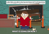 angry cats GIF by South Park 