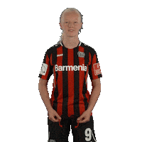Whats Up Summer Sticker by Bayer 04 Leverkusen