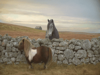 danceponydance GIF