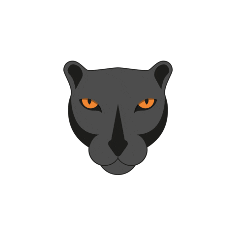 PloumMarCom giphyupload wink panter ploum Sticker
