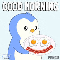 Good Morning GIF by Pudgy Penguins