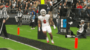 College Football GIF by Wisconsin Badgers