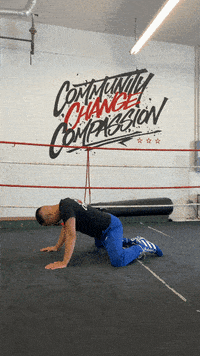 quinitboxing  GIF