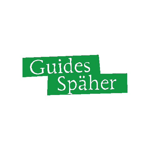 Scouts Pfadi Sticker by PfadfinderInnen Völs