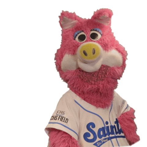 Minor League Baseball Love Sticker by St. Paul Saints