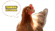Chicken Rtl2 Sticker by RTLZWEI