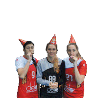 Sport Team Sticker by Rushandball