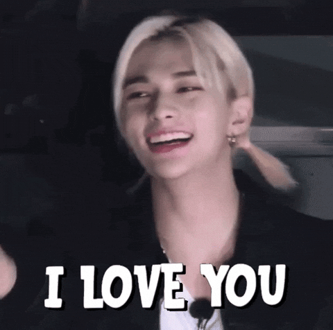 I Love You Stray Kids GIF