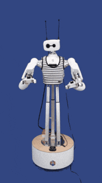 Robot Reachy GIF by pollenrobotics