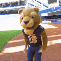 Florida International University Football GIF by FIU