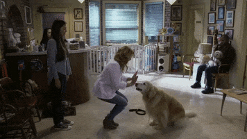 Jodie Sweetin GIF by Fuller House