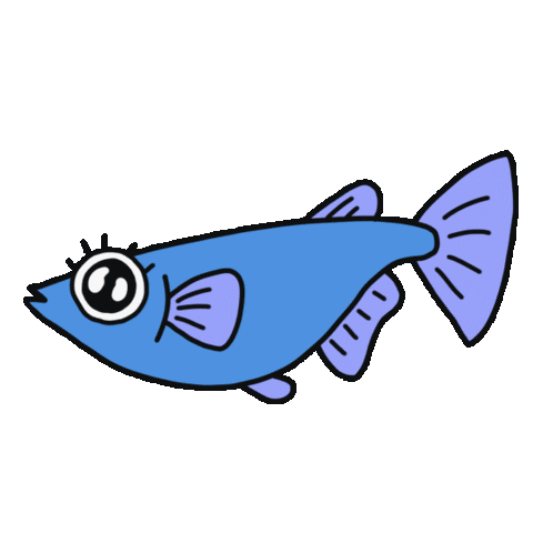 魚 Medaka Sticker