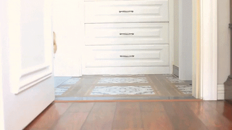 giphyupload GIF