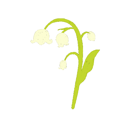 Flowers Doodles Sticker