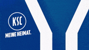 Football Soccer GIF by Karlsruher SC
