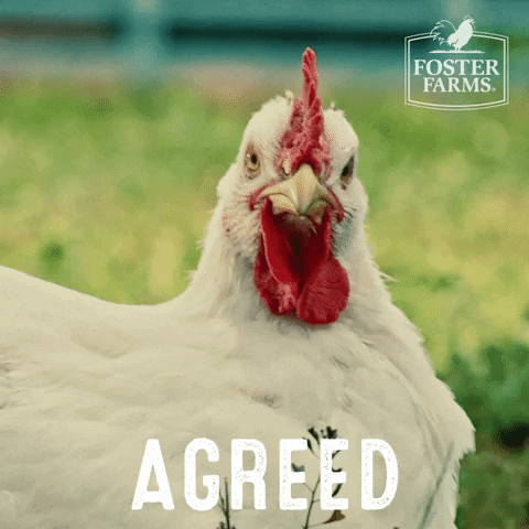 Chicken Yes GIF by Foster Farms
