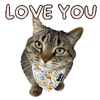 In Love Heart U Sticker