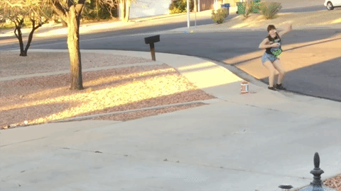 my redneck neighbor GIF