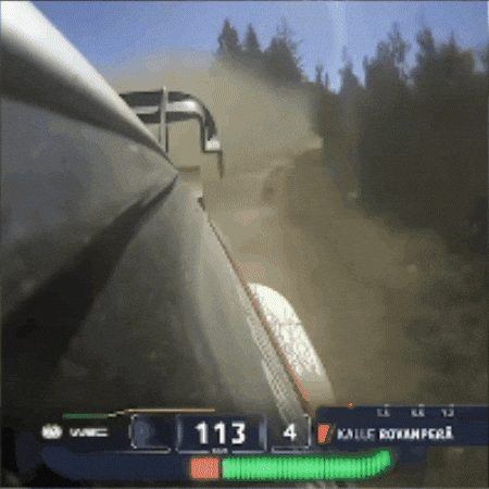 Fans Portugal GIF by FIA World Rally Championship