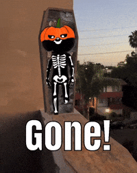 Halloween Skeleton GIF by Flickplay