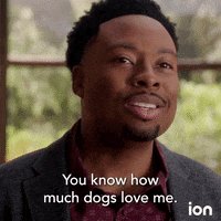 Dogs Bff GIF by ION