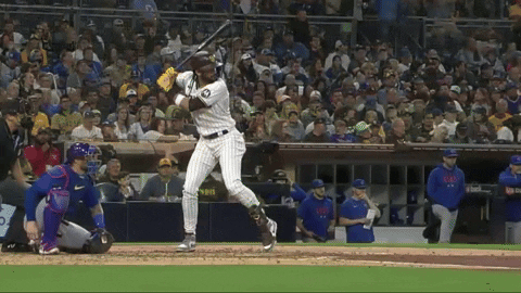 tesstass giphyupload GIF