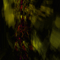 daniel shiffman art GIF by Adam Ferriss