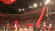Big Red Basketball GIF by Lamar University
