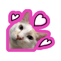 Cat Love Sticker