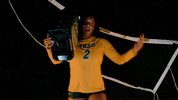 Volleyball Bison GIF by NDSU Athletics