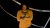 Volleyball Bison GIF by NDSU Athletics