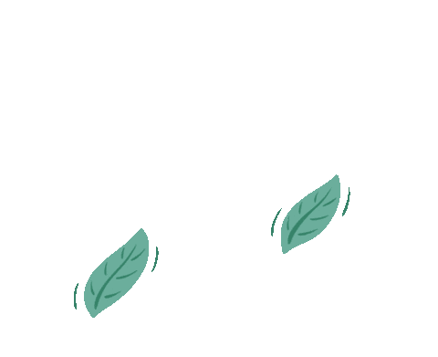 solmazyapipeyzaj giphyupload leaf peyzaj solmaz Sticker