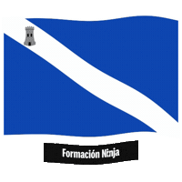 Pais Vasco Flag Sticker by Formación Ninja
