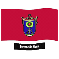 Pais Vasco Flag Sticker by Formación Ninja