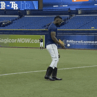 Tampa Bay Rays Fun GIF by Jomboy Media