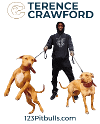 Terence Crawford Pitbull Sticker by Chico Lopez