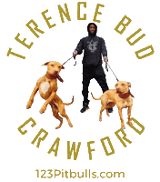Red Nose Pitbull Sticker by 123 Pit Bulls