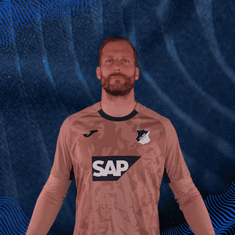 Sport Bundesliga GIF by TSG Hoffenheim