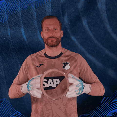 Sport Bundesliga GIF by TSG Hoffenheim