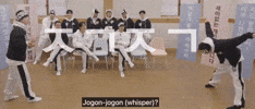 Choi Seungcheol 세븐틴 GIF