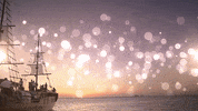 GIF by Dolphin Discovery