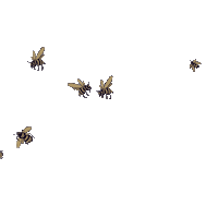 Queen B Beyonce Sticker by Megan Thee Stallion