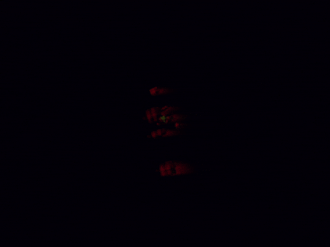 nicolaslalonde giphyupload glitch vhs glitchart GIF