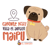 veterinaria_el_abrazo pet mascota veterinaria petlove Sticker