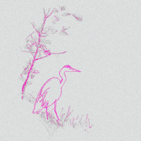 Eating Fish Heron GIF